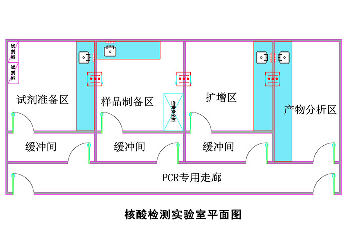 核酸检测实验室建设